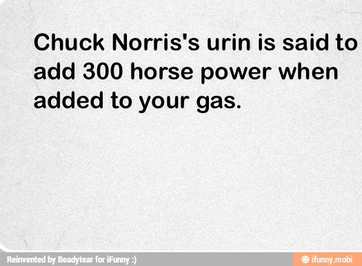 Chuck Norris's urin is said to
add 300 horse power when
added to your gas.