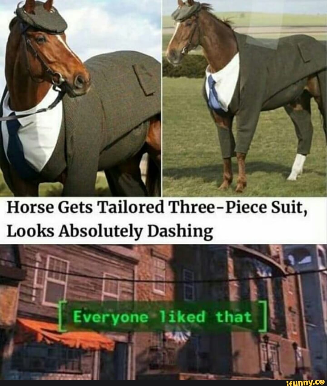 Horse Gets Tailored Three- Piece Suit,
Looks Absolutely Dashing
I Eve liked tha