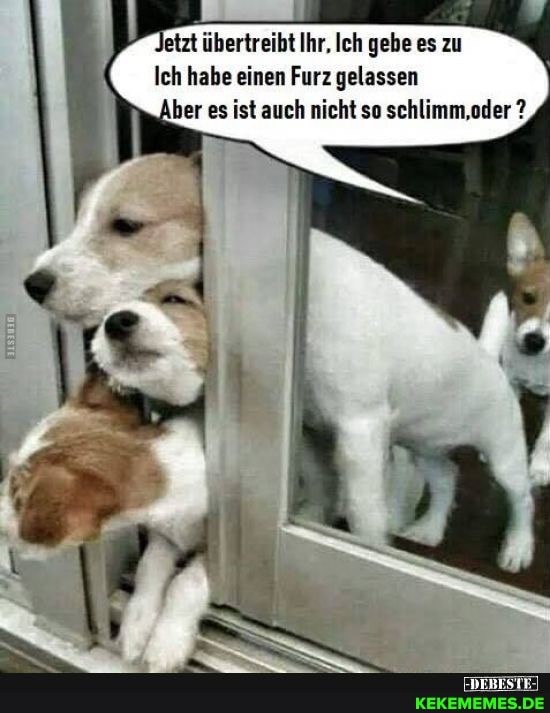 etzt übertreibt Ihr. Ich gebe es zu
Ich habe einen Furz gelassen
Aber es ist auch nicht so schlimm,oder ?