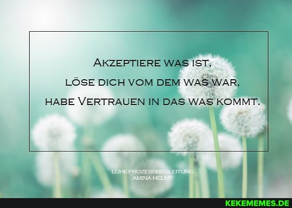 TIERE WAS LÖSE DICH vom I wa@
HABE VERTRAUEN IN DAS