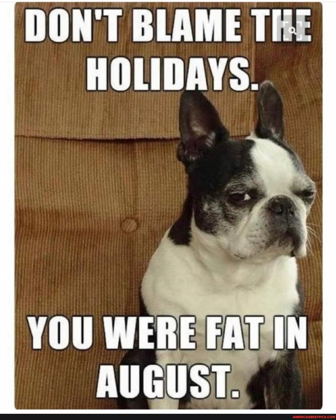 DON'T BLAME THE HOLIDAYS.
YOU WERE FAT IN AUGUST.