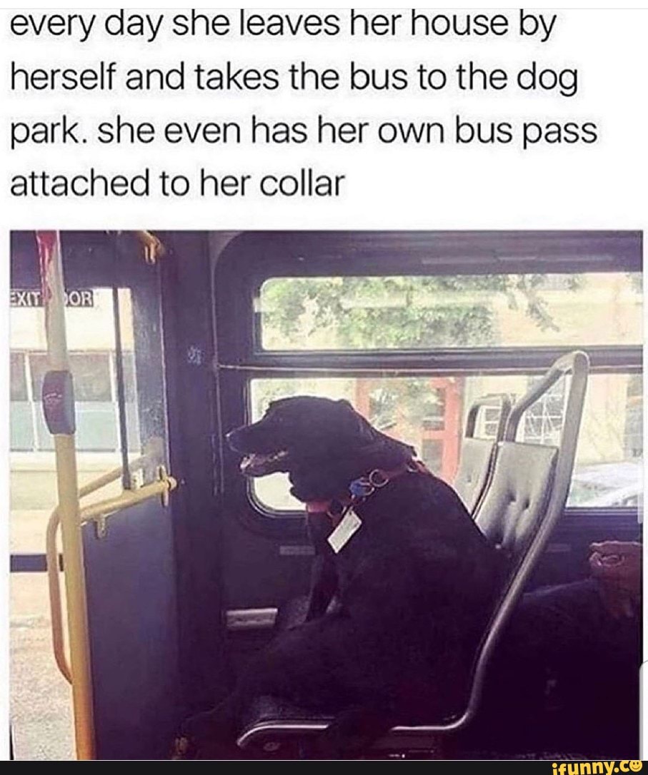 Every day she leaves her house by herself and takes the bus to the dog
