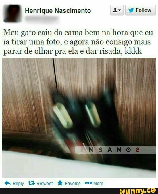 e Henrique Nascimento Follow
Meu gato caiu da cama bem na hora que eu ia tirar uma foto, e agora não consigo mais parar de olhar pra ela e dar risada, kkkk
Repiy ET Reueet Far
INSANO
ite More