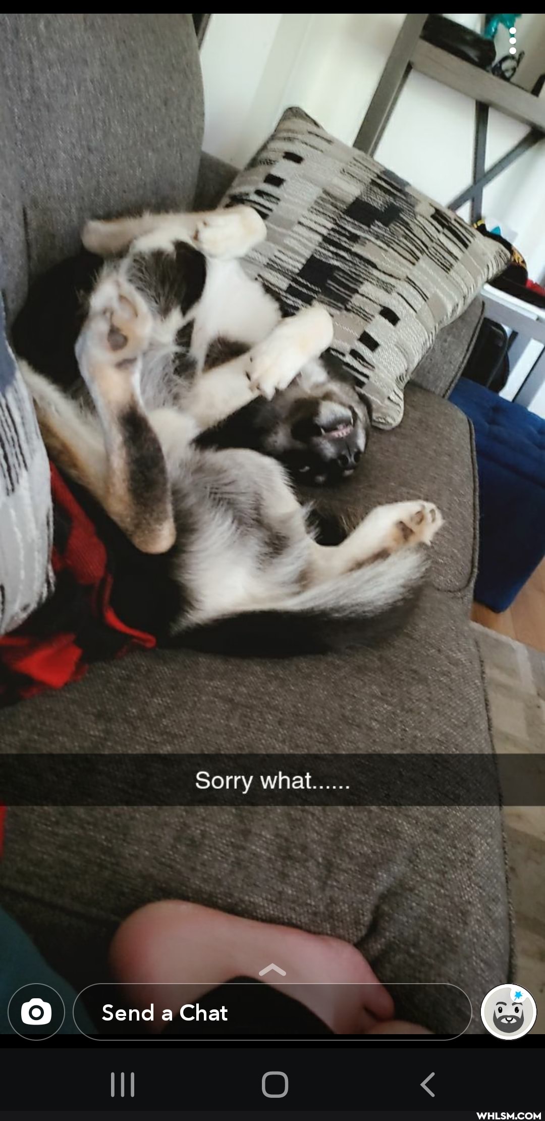 \ f
Sorry what......
AS
( send a Chat