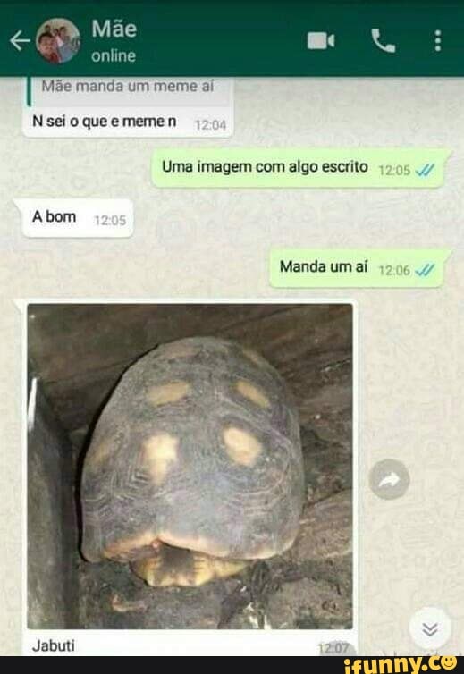Mãe
online
Mãe manda um meme aí
'sei o que e meme n
Uma imagem com algo escrito
Abom
Manda um aí
Jabuti