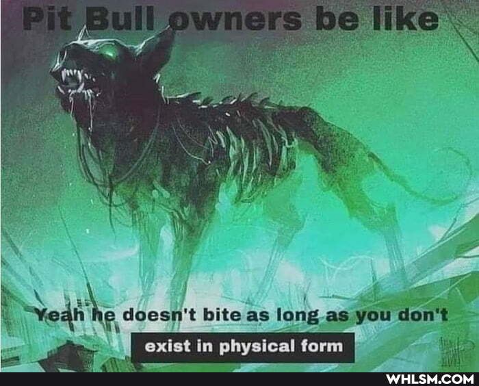doesn't bite as long as you don'
exist in physical form