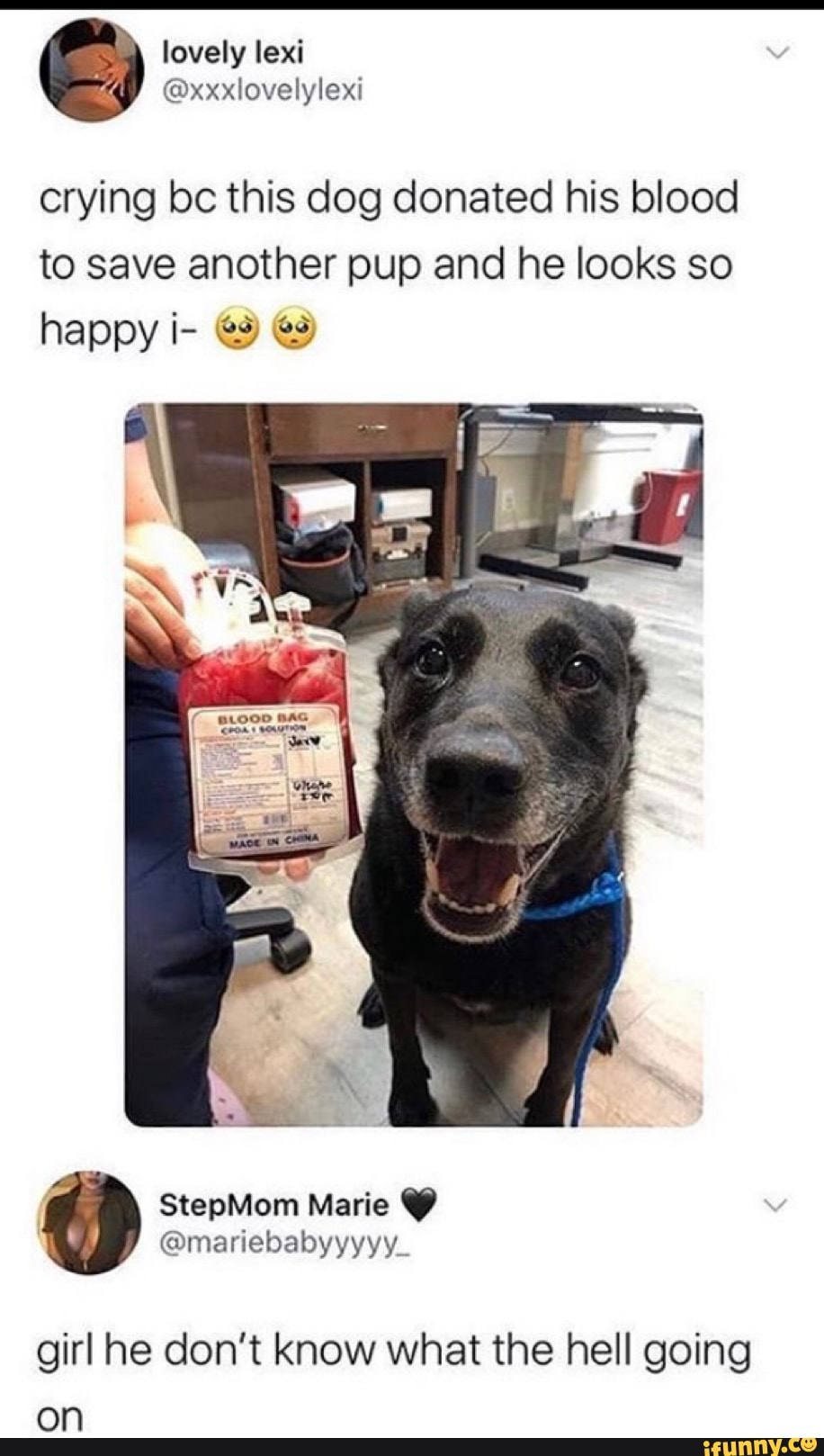 om lovely
@xxxlovelylexi
crying bc this dog donated his blood to save another pup and he looks so happy i-
girl he don't know what the hell going on