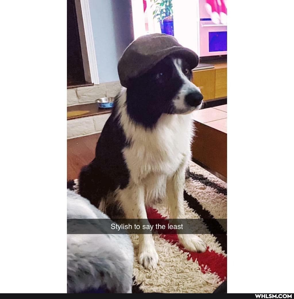 Stylish to say the least