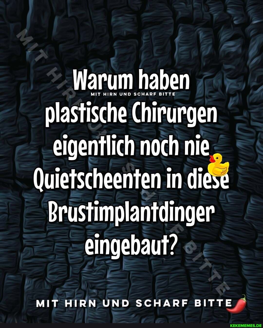 Warum haben plastische Chirurgen eigentlich noch nie
Quietscheenten in diese
Brustimplantdinger
eingebaut?
MIT HIRN UND SCHARF BITTE