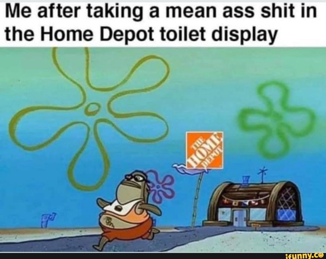 Me after taking a mean ass shit in the Home Depot toilet display iFunny