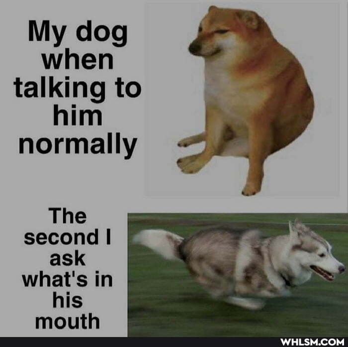 My clog when talking to him normally ,
The second
ask