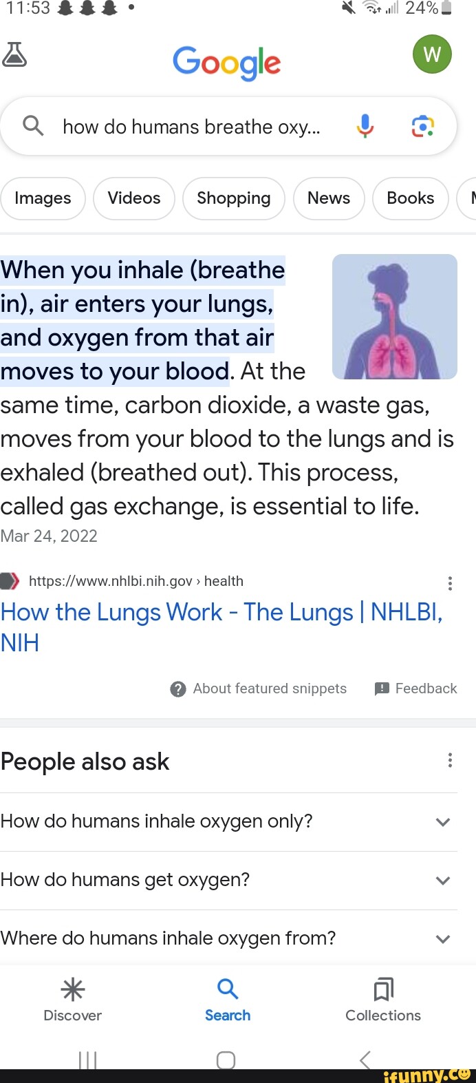 SS & Google Q__ how do humans breathe OXy... 24 Images Videos Shopping