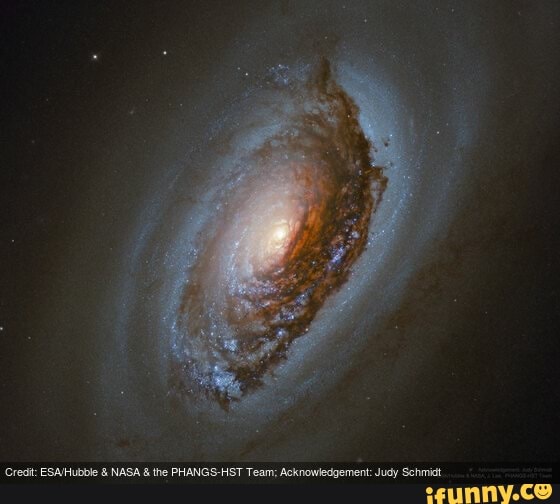 Credit: & NASA & the PHANGS-HST Team; Acknowledgement: Judy Schmidt