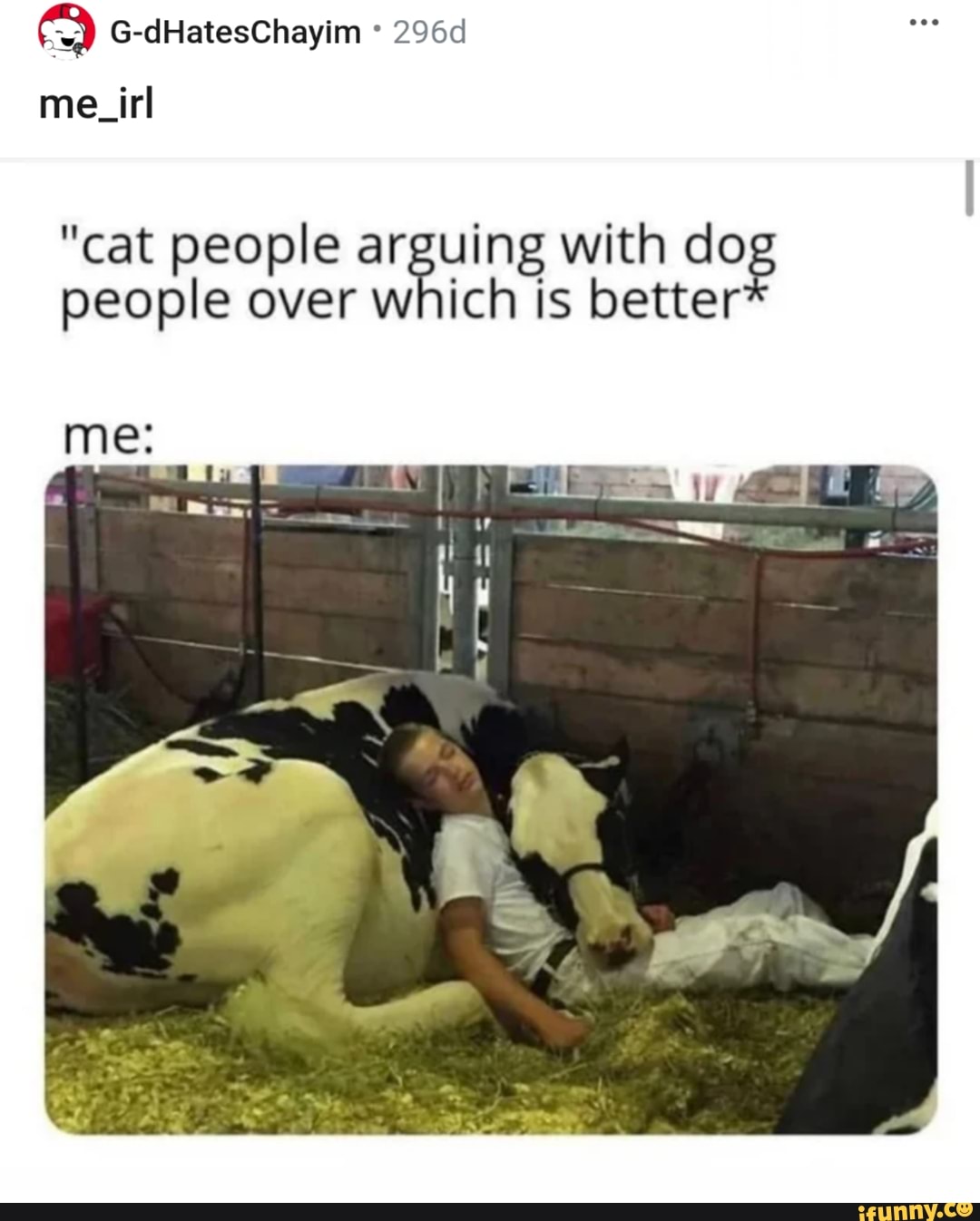 G-dHatesChayim 296d
me_irl
"cat people people over arguing which with is dog people over which is better