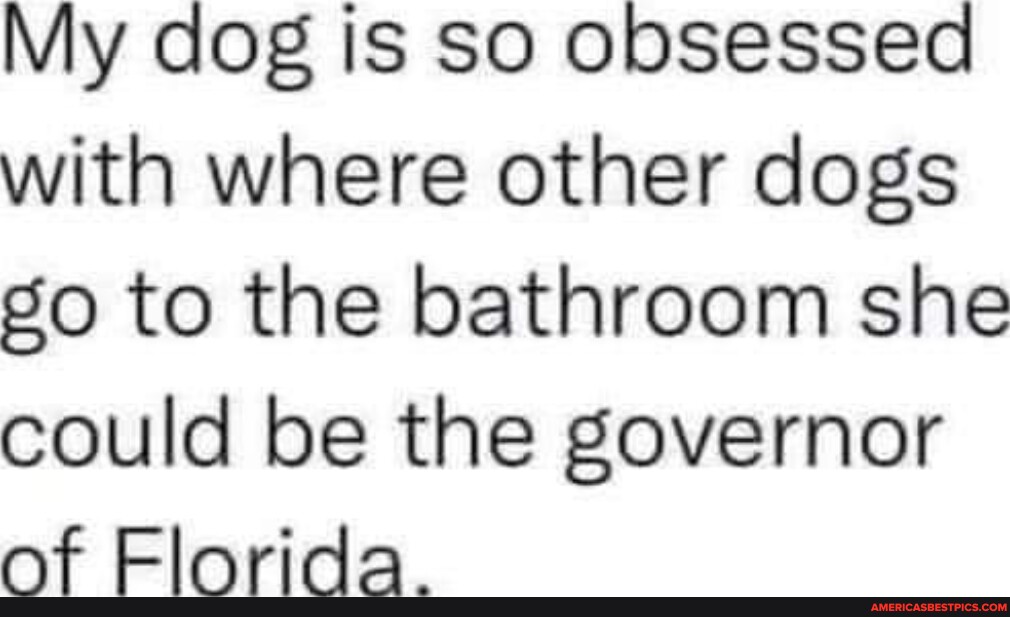 My dog is so obsessed with where other dogs go to the bathroom she could be the governor of