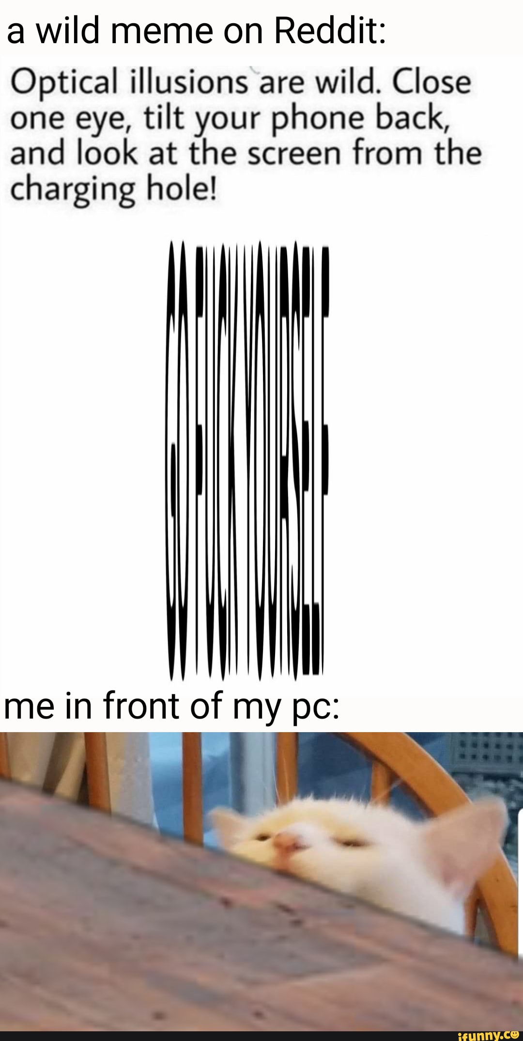 A wild meme on Reddit Optical illusions are wild. Close one eye, tilt