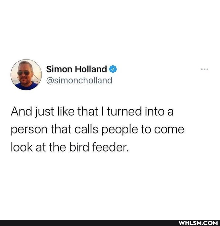 Simon Holland
@simoncholland
And just like that I turned into a person that calls people to come look at the bird feeder.