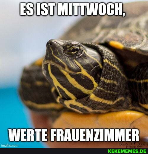 ES IST MITTWOCH,
WERTE FRAUENZIMMER