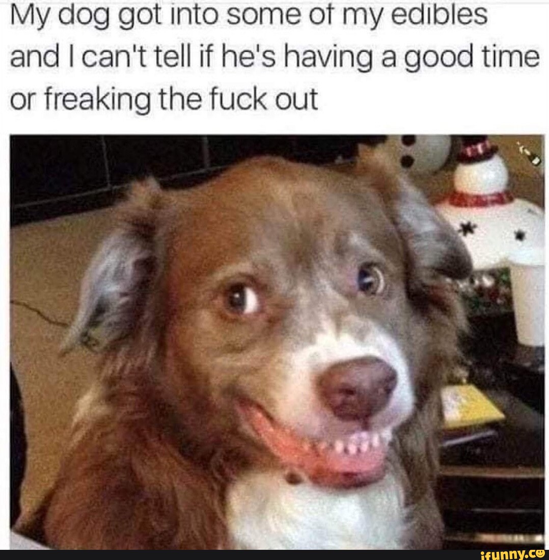 Kicked out of Sunday school as a young child be questioned them too