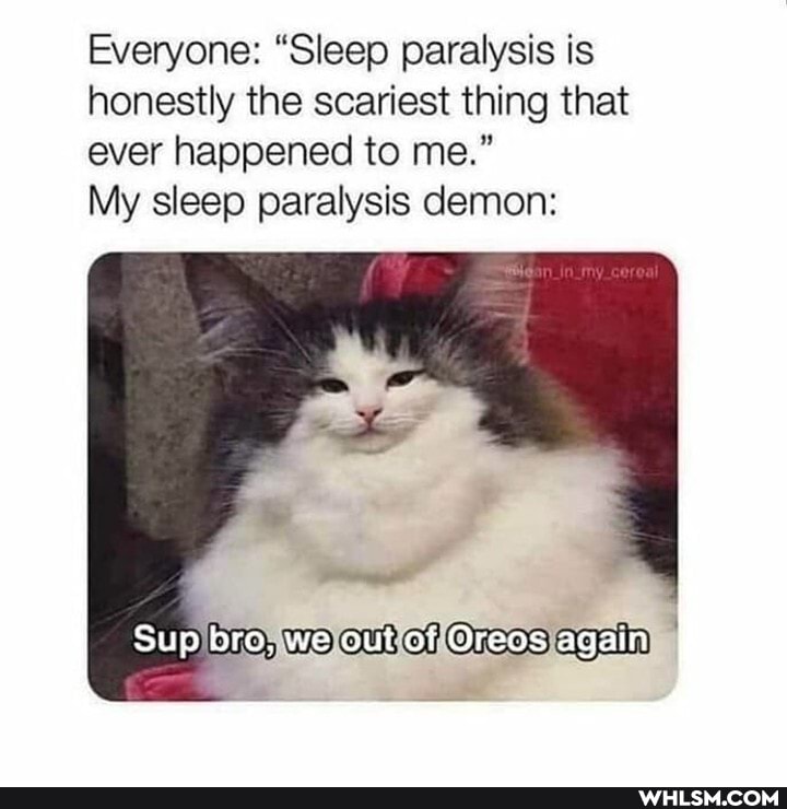 Everyone: "Sleep paralysis is honestly the scariest thing that ever happened to me."
My sleep paralysis demon:
To, Ones agein