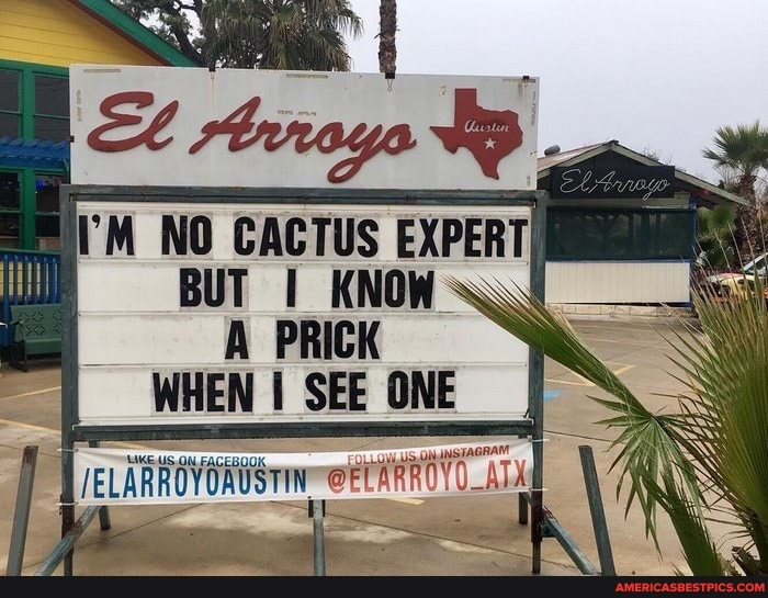 i'M NO CACTUS EXPERT
BUT I KNOW PRICK WHEN SEE ONE
vAl
