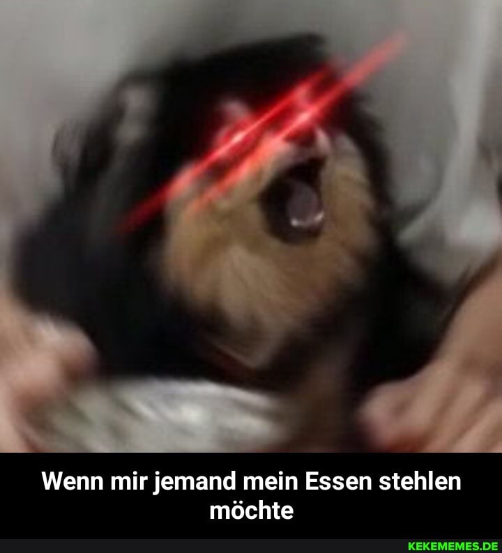 Wenn mir jemand mein Essen stehlen möchte - Wenn mir jemand mein Essen stehlen möchte