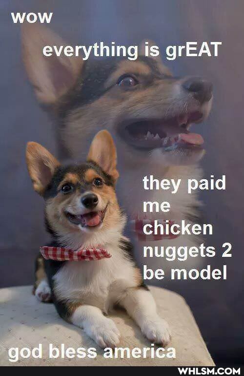 wow
everything is grEAT
they paid me chicken nuggets be model
eiod lowe america