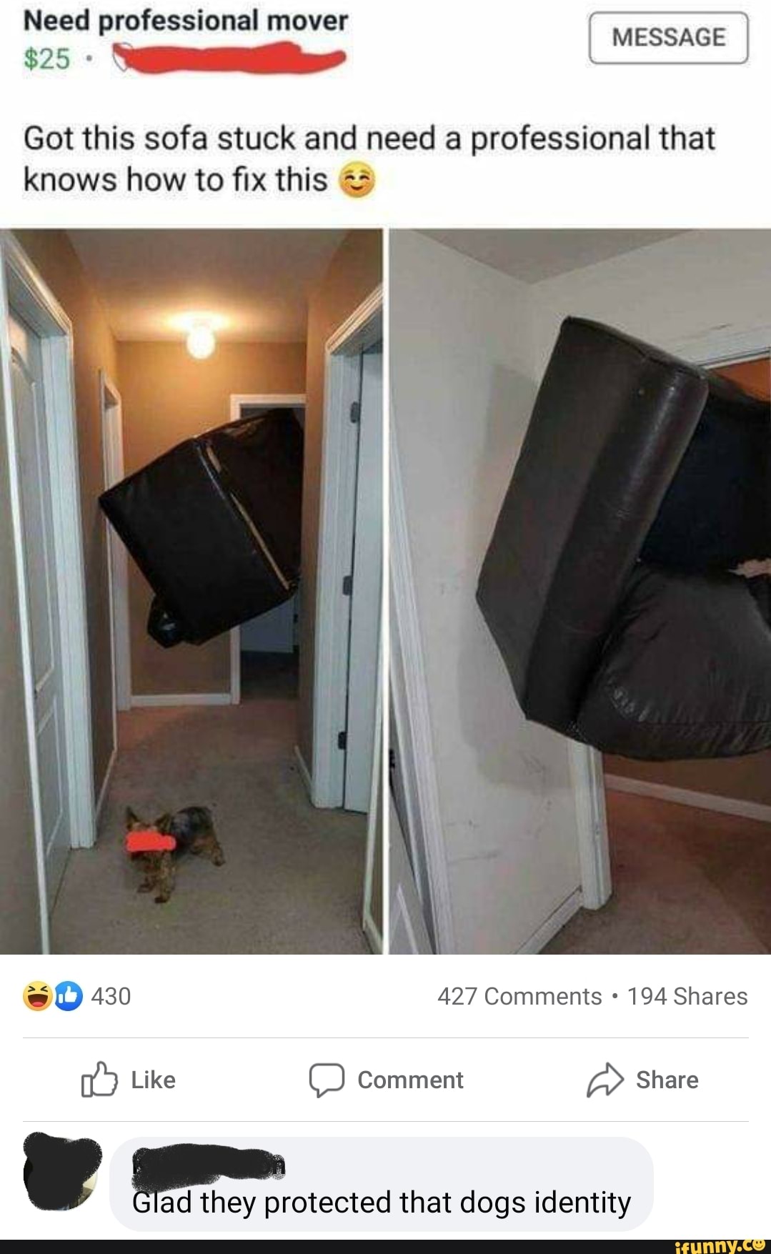 Need professional mover
$25
MESSAGE
Got this sofa stuck and need a professional that knows how to fix this
430 427 Comments 194 Shares
Like Comment Share
ad they protected that dogs identity