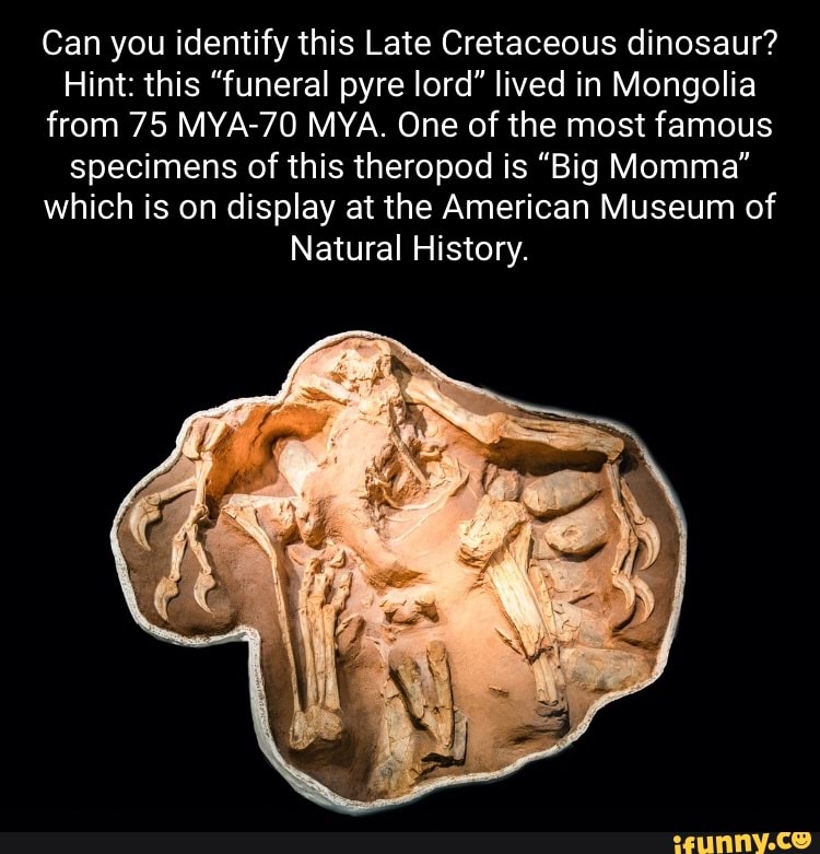 Can you identify this Late Cretaceous dinosaur? Hint this "funeral