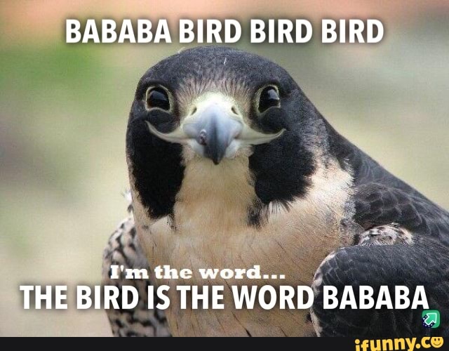 Bababa memes. Best Collection of funny Bababa pictures on iFunny