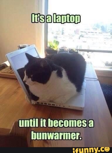Its ajlantop
until itbecomes a
hunwarmer: