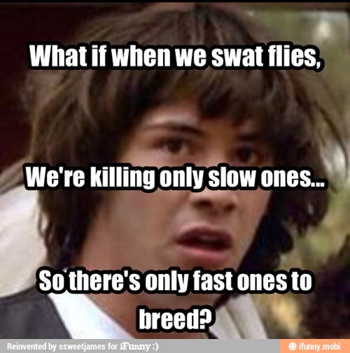 What if when we swat flies;
siowones. We're
killing on only slow ones...
a
So there's only fastones to
