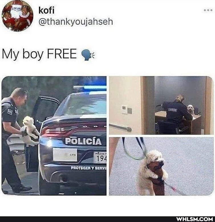 kofi
@thankyoujahseh
My boy FREE