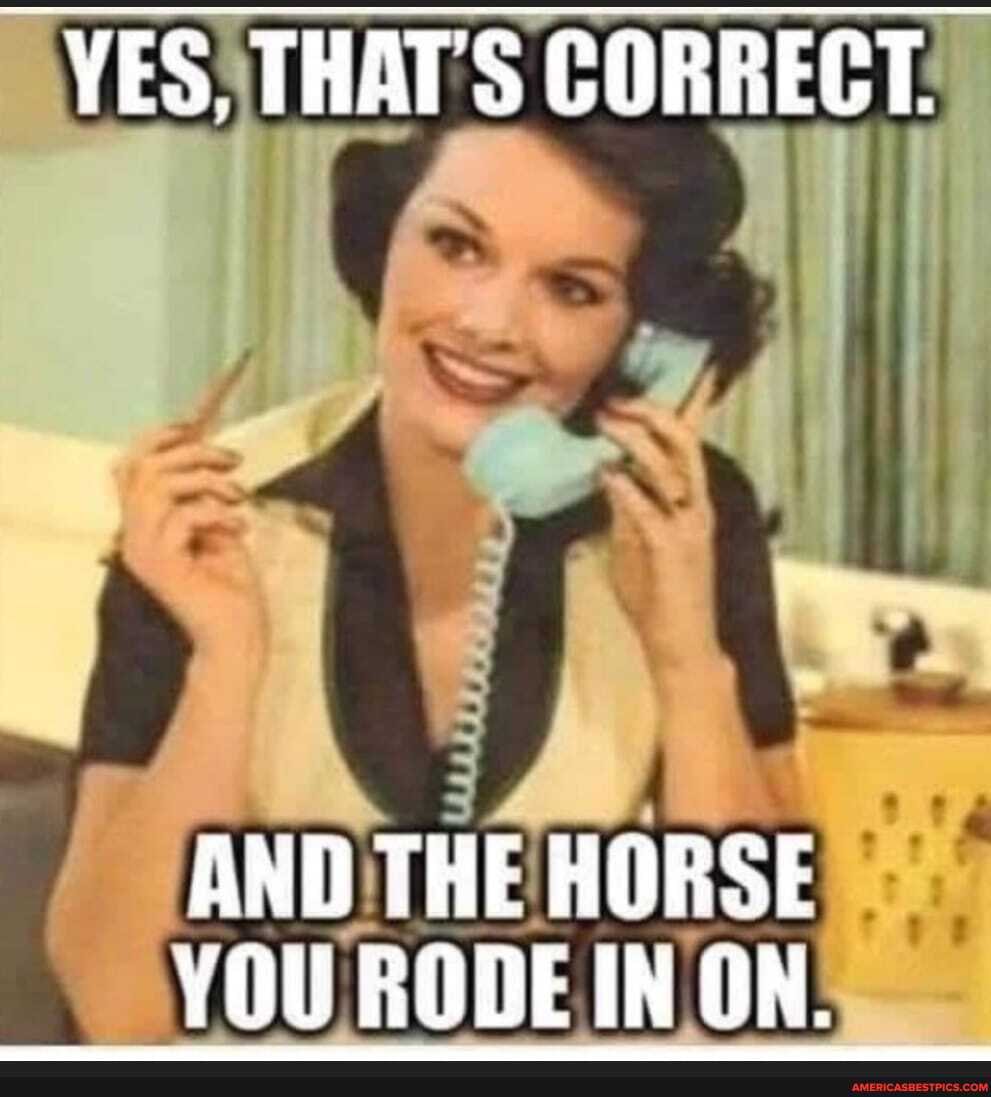 VES, THAT'S CORRECT.
AND THE HORSE YOU RODE IN ON.