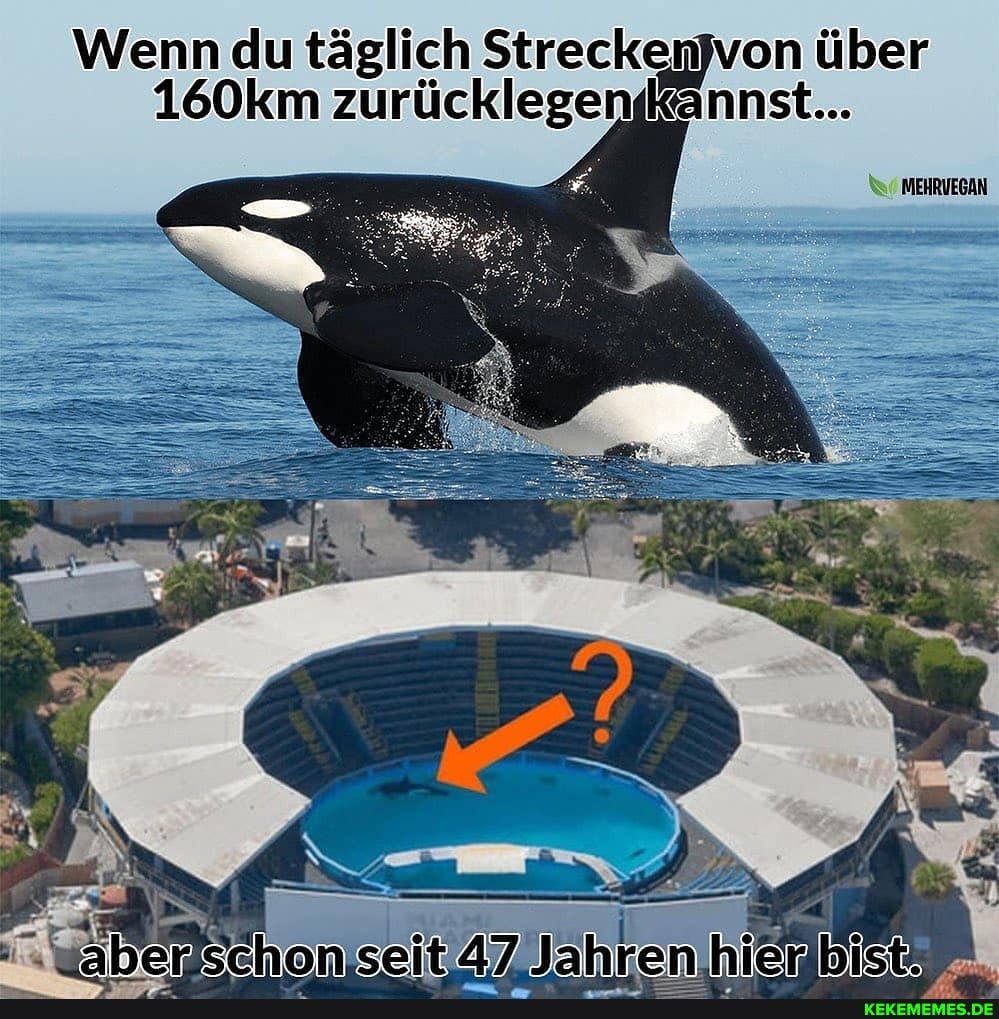 Wenn du täglich Strecken) on über
160km Zurücklegen Kannst...
MEHRUEGAN
seit Jähtr hlen hienbistäen.