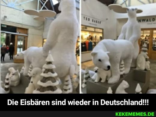 Die Eisbären sind wieder in Deutschland!!! - Die Eisbären sind wieder in Deutschland!!!