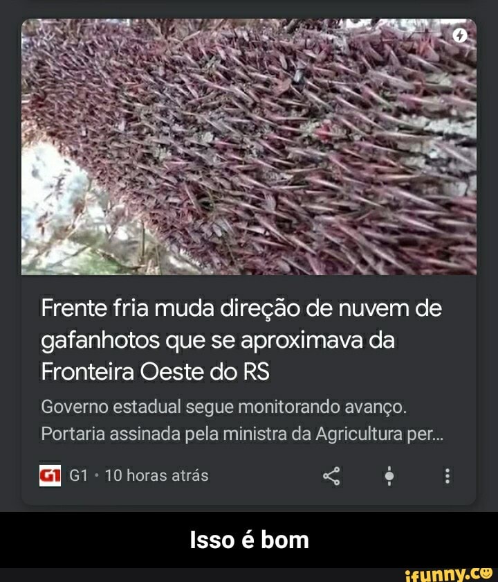 Frente fria muda direção de nuvem de
gafanhotos que se aproximava da
Fronteira Oeste do RS
Governo estadual segue monitorando avanço.
Portaria assinada pela ministra da Agricultura per...
Isso é bom - Isso é bom