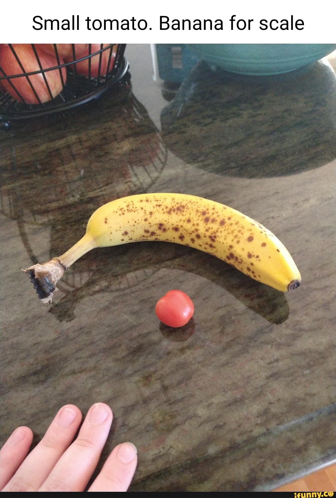 Tiny hammer, with tiny banana for scale - 9GAG