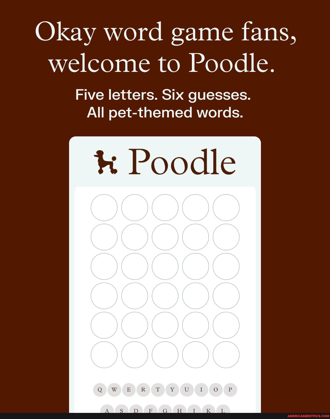 Okay word game fans, welcome to Poodle. Five letters. Six guesses. All  pet-themed words. Poodle - Americas best pics and videos