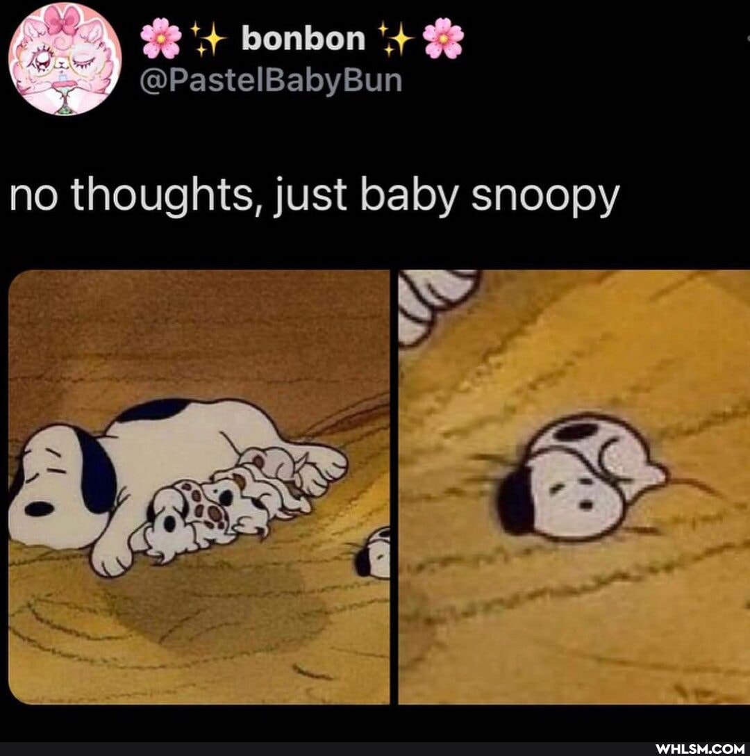 bonbon
no thoughts, just baby snoopy
les