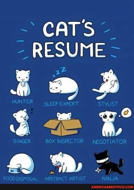 ~ CATS RESUME
HUNTER
SLEEP EXPERT STYLIST a x
SINGER BOX INSPECTOR NEGOTIATOR