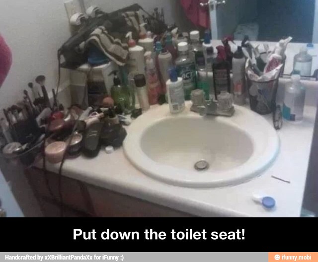 Put down the toilet seat! - Put down the toilet seat!