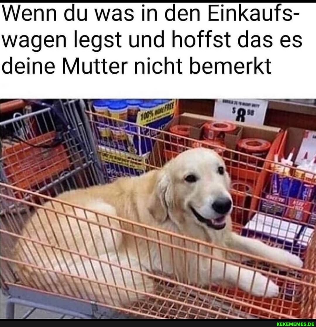 Wenn du was in den Einkaufs- wagen legst und hoffst das es deine Mutter nicht bemerkt