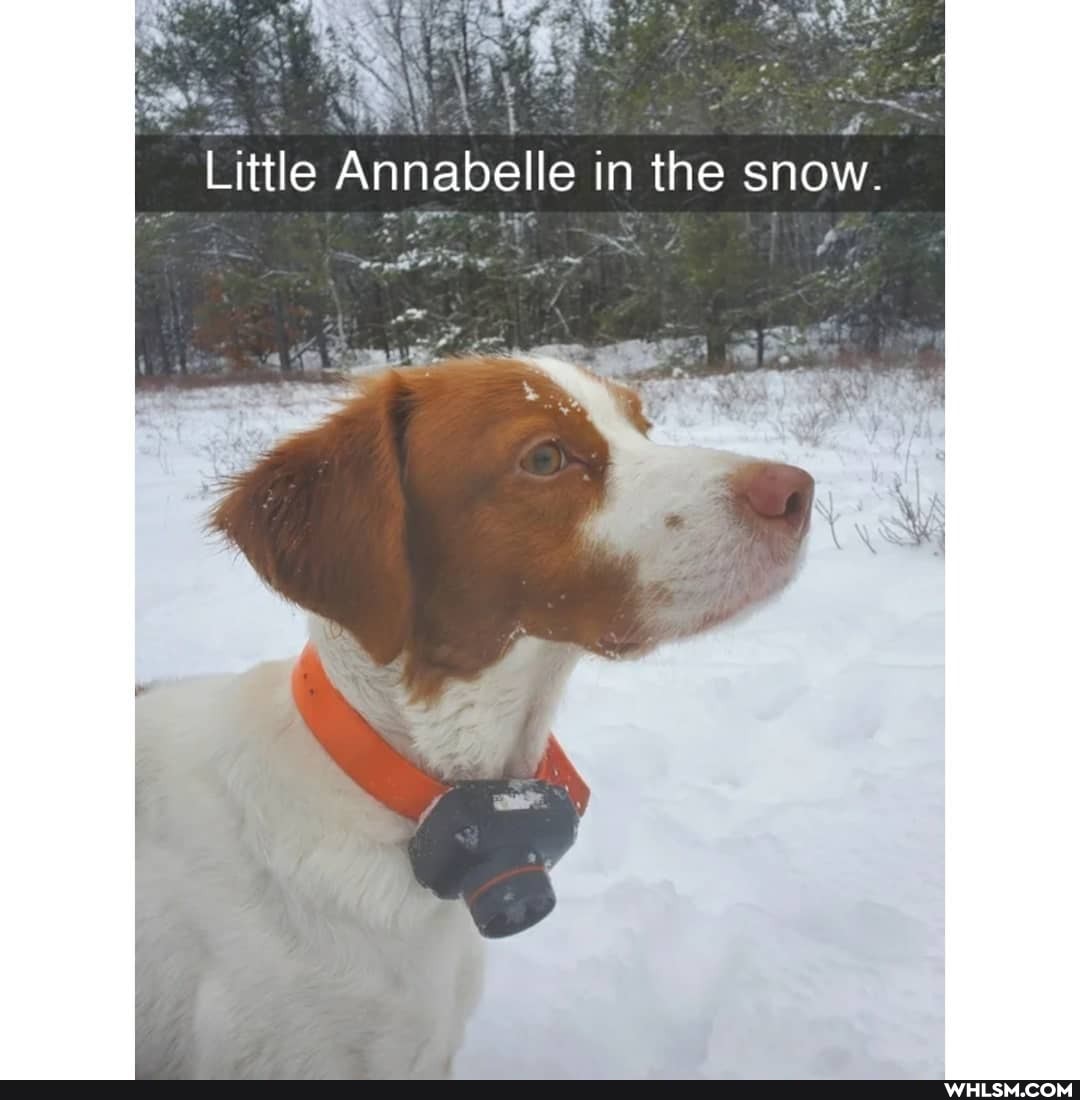 Little Annabelle in the snow.