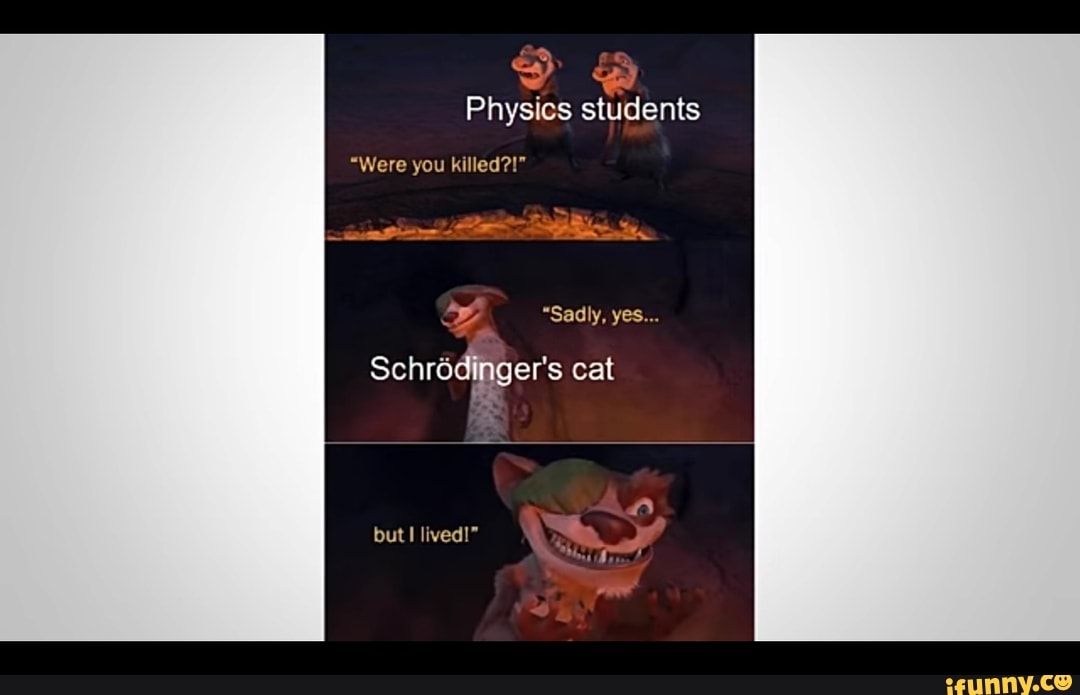 Schr dinger's cat