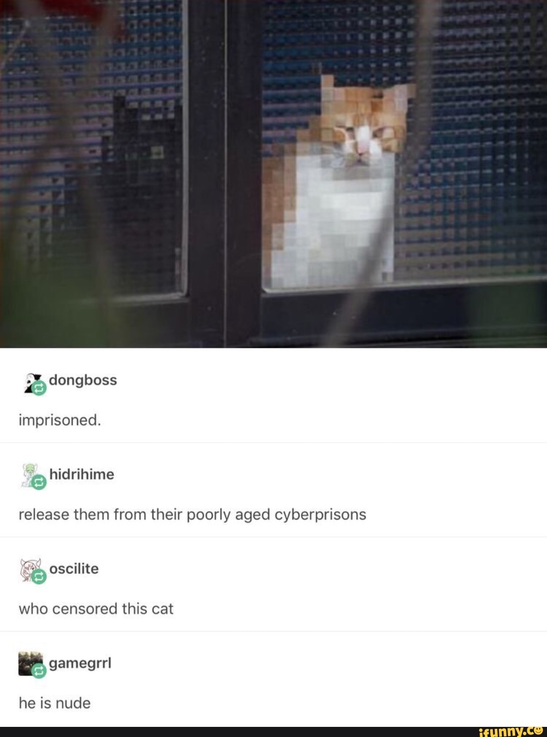 Release Them From Their Poorly Aged Cyberprisons Oscilite Who Censored This Cat Eh Gamegrrl He Is Nude Ifunny