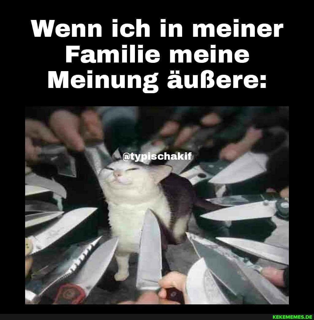 Wenn ich in meiner
Familie meine
Meinung äußere:
atypischakif
