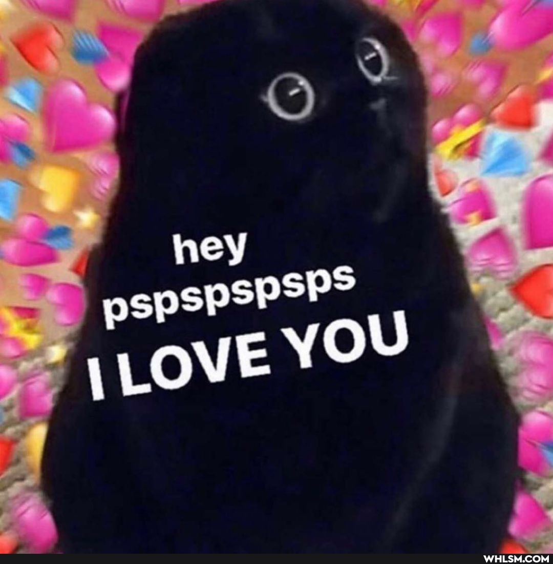 hey
LLOvE YOU