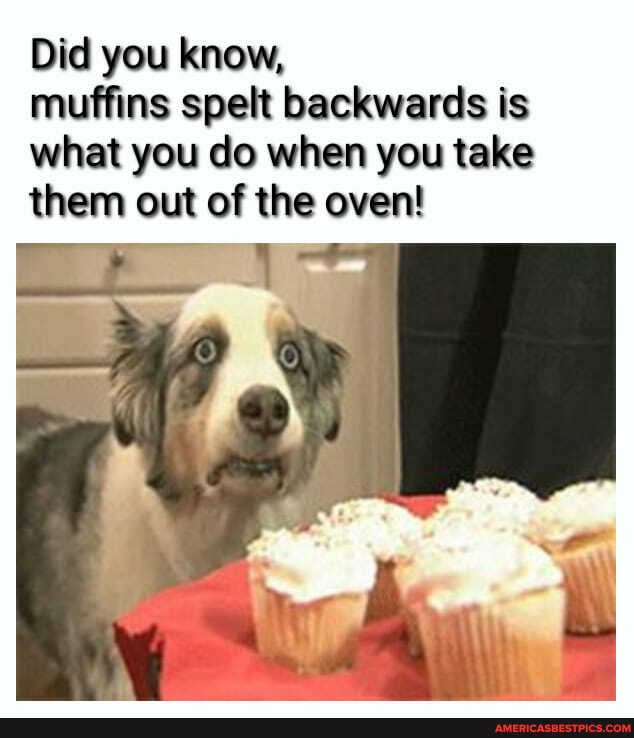 Did you know,
muffins spelt backwards is what you do when you take them out of the oven!
ry 4