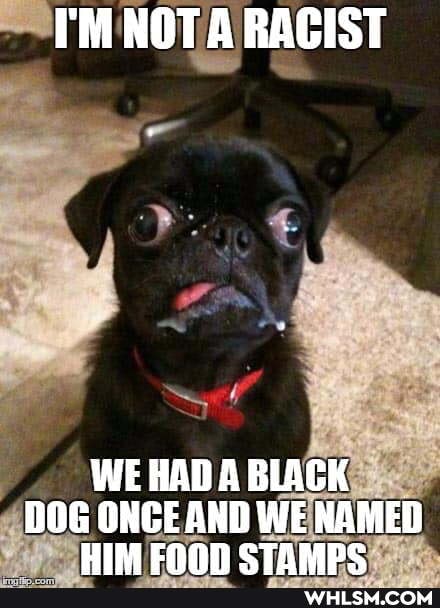 I'M NOTA RACIST
WE HAD A BLACK
DOG ONCE AND WE NAMED HIM CTAMDC